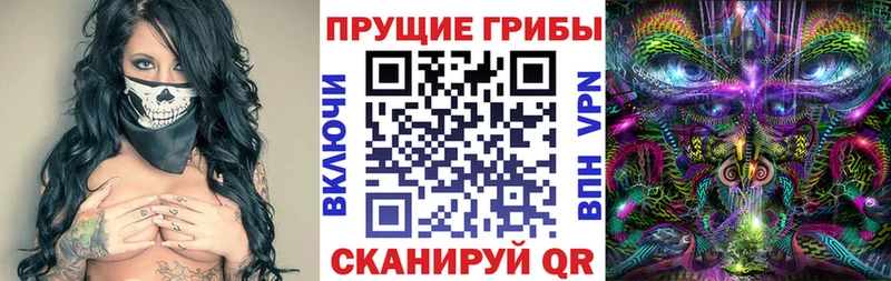 купить наркотики цена  Волчанск  Псилоцибиновые грибы Psilocybine cubensis 